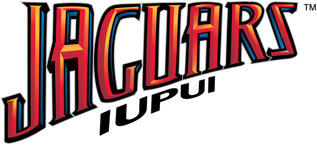 IUPUI Jaguars 2008-Pres Wordmark Logo iron on paper